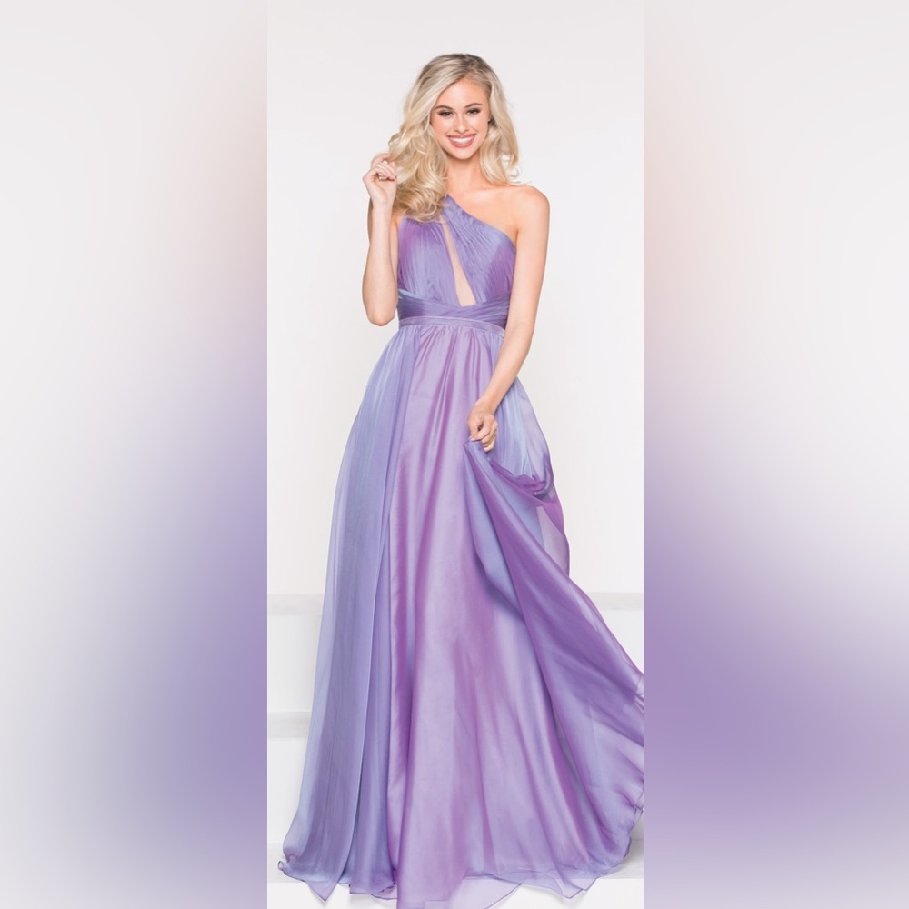 Echo Evenings Style 2000 Lavendar Gown Size 4